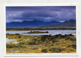 AK 028898 IRELAND - Connemara - Bertraghboy Bay - Galway