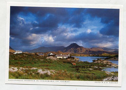 AK 028909 IRELAND - Connemara - Ballynakill Habour - Galway