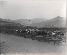 Tirage Années 70 D'après Plaque De Verre Archive Paul Dardanelles MACEDONIA Slivica Ambulance 1/57 - Non Classificati