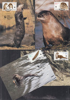 DDR  3107-3110, 4 Maximumkarten, WWF: Bedrohte Tiere, 1987 - Cartas Máxima
