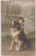 Dog With Brown Glass Eyes, Saint Bernard Chien Mit |Glaßaugen  Old Postcard Cpa. 1922 - Cani