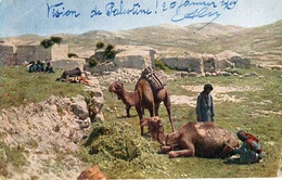 L'heure Du Repos - Palestine