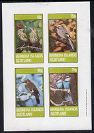 Bernera 1981 Birds #02 (Jay, Thrush, Etc) Imperf  Set Of 4 Values (10p To 75p) MNH - Local Issues