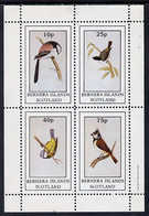 Bernera 1981 Birds #04 (Tits) Perf  Set Of 4 Values (10p To 75p) MNH - Local Issues