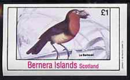 Bernera 1981 Birds #37 Imperf Souvenir Sheet (�1 Value) MNH - Local Issues