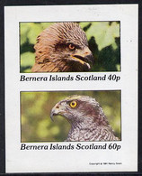 Bernera 1981 Birds Of Prey  Imperf  Set Of 2 Values (40p & 60p) MNH - Local Issues