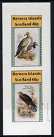 Bernera 1981 Birds Of Prey Imperf  Set Of 2 Values (40p & 60p) MNH - Local Issues