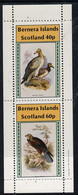 Bernera 1981 Birds Of Prey Perf  Set 2 Values (40p & 60p) MNH - Local Issues
