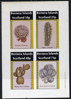 Bernera 1981 Cacti (Crown Cactus, Apple Cactus Etc) Imperf  Set Of 4 Values (imprint In Outer Margin) MNH - Local Issues