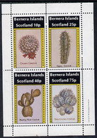 Bernera 1981 Cacti (Crown Cactus, Apple Cactus Etc) Perf  Set Of 4 Values (imprint In Outer Margin) MNH - Local Issues