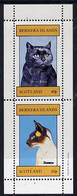 Bernera 1981 Cats (British Black & Siamese) Perf  Set Of 2 Values (40p & 60p) MNH - Local Issues