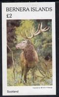 Bernera 1981 Deer #1 Imperf Deluxe Sheet (�2 Value) MNH - Local Issues