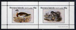 Bernera 1981 Ducks #3 Perf  Set Of 2 Values (40p & 60p) MNH - Local Issues