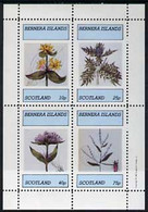 Bernera 1981 Flowers #02 Perf  Set Of 4 Values (10p To 75p) MNH - Local Issues