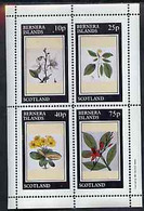 Bernera 1981 Flowers #24 Perf Sheetlet Containing Set Of 4 Values MNH - Local Issues