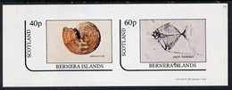 Bernera 1981 Fossils (Goniatite & Mene Rhombea) Imperf  Set Of 2 Values (40p & 60p) MNH - Local Issues