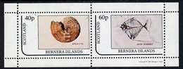 Bernera 1981 Fossils (Goniatite & Mene Rhombea) Perf  Set Of 2 Values (40p & 60p) MNH - Local Issues