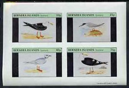 Bernera 1981 Gulls Imperf Set Of 4 Values Complete (10p To 75p) MNH - Local Issues