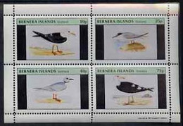 Bernera 1981 Gulls Perf Set Of 4 Values Complete (10p To 75p) MNH - Local Issues