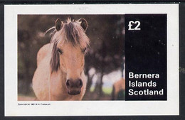 Bernera 1981 Horses Imperf Deluxe Sheet (�2 Value) MNH - Local Issues