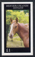 Bernera 1981 Horses Imperf Souvenir Sheet (�1 Value) MNH - Local Issues