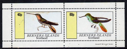 Bernera 1981 Humming Birds Perf  Set Of 2 Values (40p & 60p) MNH - Local Issues