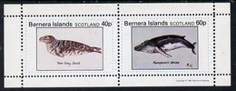 Bernera 1981 Marine Animals (Grey Seal & Humpback Whale) Perf  Set Of 2 Values (40p & 60p) MNH - Local Issues