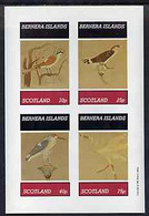 Bernera 1981 Wall Paintings Of Birds Imperf Sheetlet Containing Set Of 4 Values MNH - Local Issues