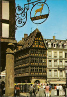 1105821  Strasbourg La Maison Kammerzell - Das Kammerzellhaus - Zell