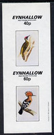 Eynhallow 1981 Birds #04 (Woodpecker & Hoopoe) Imperf  Set Of 2 Values (40p & 60p) MNH - Lokale Uitgaven