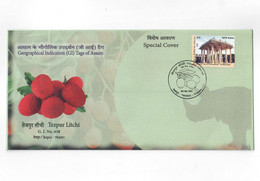 India 2021 Tezpur Litchi GI Tag Fruit , Gastronomy Food ,Cover  (**) Inde Indien - Covers & Documents