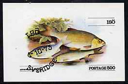 Iso - Sweden 1973 (Rudd) Imperf Souvenir Sheet (500 Value) Cto Used - Lokale Uitgaven