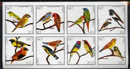 Iso - Sweden 1977 Birds (Red Bishop, Weaver, Cuban Finch, Etc) Imperf Set Of 8 Values (20 To 350) MNH - Local Post Stamps