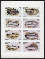 Oman 1972 Fish (Trout, Salmon Etc) Imperf Set Of 8 Values (1b To 15b) MNH - Oman