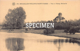 Vue à L'Etang Melaerts - Woluwe-Saint-Pierre - St-Pieters-Woluwe - Woluwe-St-Pierre