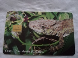 CUBA $10,00 CHIPCARD   CAMALEONIS BARBATUS   Fine Used Card  ** 6792** - Cuba