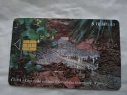 CUBA $10,00  CHIPCARD   COCODRILO CUBANO      Fine Used Card  ** 6807** - Cuba