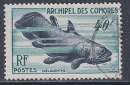 COMORES N° 13 O Faune Marine : Coelacanthe  Oblitération Moyenne Sinon TB - Used Stamps