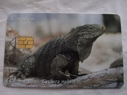 CUBA $20,00   CHIPCARD   IGUANA CYCLURA NUBILA          Fine Used Card  ** 6821** - Kuba