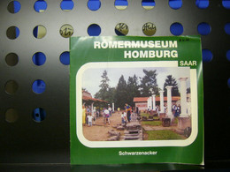 Römermuseum Homburg Saar - 1. Oudheid