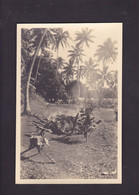 CPA Tahiti Océanie Océania Polynésie Carte Photo René Moreau RPPC Non Circulé Paul Isaac Nordmann - Tahiti