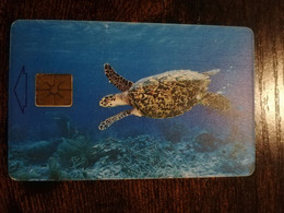 BONAIRE Naf 15,00 60 Units SEA TURTLE SCHILDPAD  **6844** - Antilles (Netherlands)