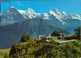 Delcampe - 1106784  Alpengarten Schynige Platte, Eiger, Mönch, Jungfrau - Mon