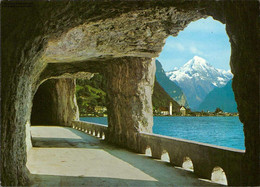 Delcampe - 1106772  Axenstrasse Am Vierwaldstättersee Mit Bristenstock - Wald