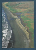 ⭐ TAAF - Carte Postale - Manchot Royaux - Colonie De Ratmanoff - 65000 Individus ⭐ - TAAF : Terres Australes Antarctiques Françaises