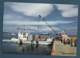 ⭐ TAAF - Carte Postale - La Cale Du Port Aux Français - Kerguelen ⭐ - TAAF : Franz. Süd- Und Antarktisgebiete