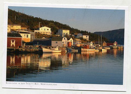 AK 029123 CANADA - Newfoundland - Sunnyside In Der Trinity Bay - Altri & Non Classificati