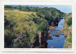 AK 029125 CANADA - Newfoundland - Schlucht Bei St. Bride's - Otros & Sin Clasificación