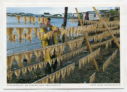 AK 029127 CANADA - Newfoundland - Tintenfische Iam Strand Von Twillingate - Sonstige & Ohne Zuordnung