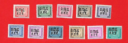 1947-49 (5-15) Segnatasse Del 1947-52 Sovrastampati Su Due Righe - Nuovo MNH LEGGI BENE - Impuestos